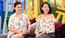 汪小菲爆料徐亚军视频播放,真相与争议